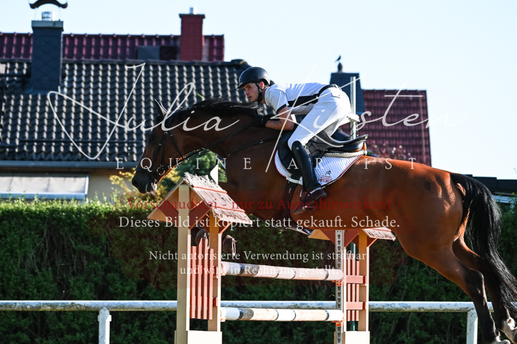 DSC_3106 | Pferde- und Turnierfotografie in Westsachsen. Pferdeportraits, Auftragszeichnungen und intuitive Kunst.