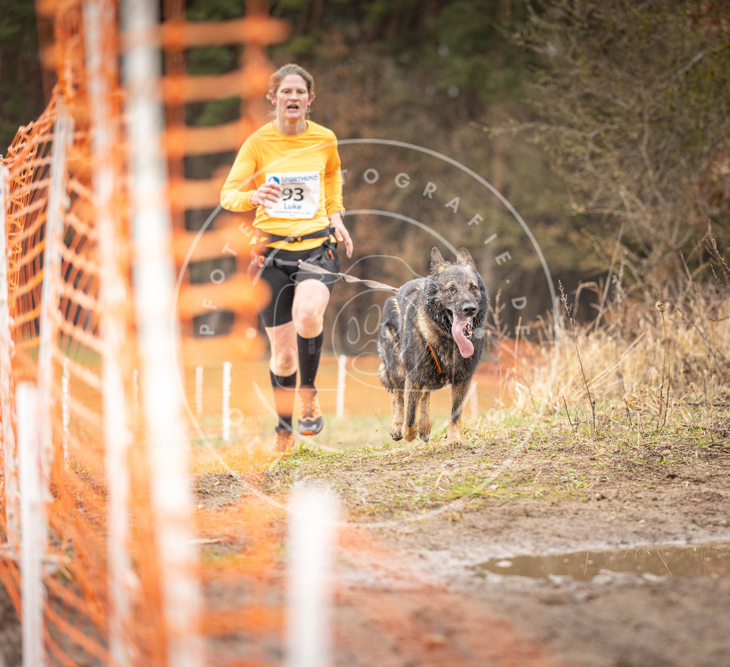 DV3A0465 | Hundefotografie, Tierfotograf, Pfotenfotografie, Fotoshooting Hund, Hunde Portrait, Hundesport, Hundeportraits, Heideshooting, Hunde, Sportfotograf, Hundefotograf, Turnierhundsport, THS,  - Realisiert mit Pictrs.com
