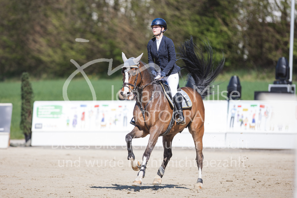 220423_Sudheim_Stil-L-124 | Oerlinghausen Währentrup 26.08.2021, Stilspringprüfung Kl.A*