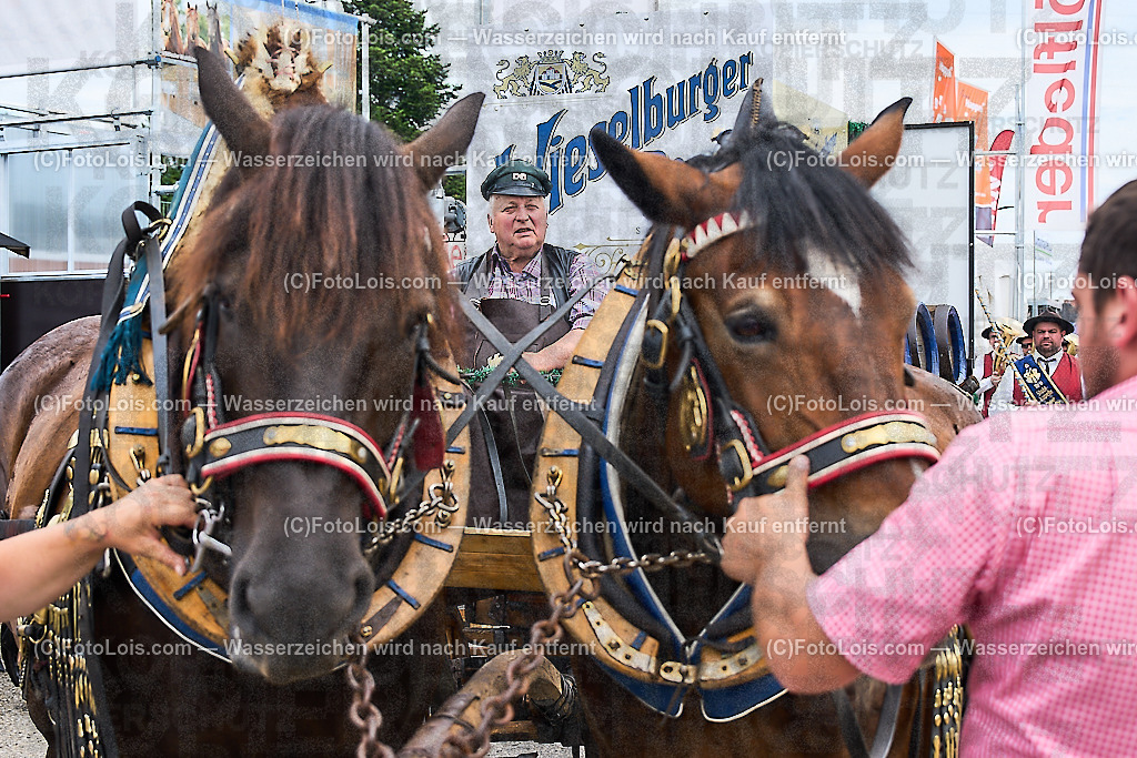 ALP9211_MESSE_LAND-FORST-JAGD_Wieselburger Bierwagen | (C)FotoLois.com, Alois Spandl, WIESELBURGER MESSE LAND-FORST-JAGD, Eröffnung mit Messerundgang mit BM Norbert Totschnig, LH Johanna Mickl-Leitner, LH-Stv. Stephan Pernkopf, LLK Johannes Schmuckenschlager, GF Marion Heim, Hannes Heindl, Bgm. Josef Leitner, Bgm. Franz Rafetseder, ..., Do 6. Juni 2024.