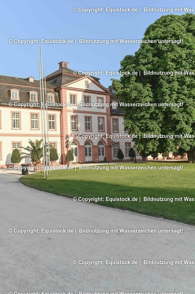 D78_3829 | equistock