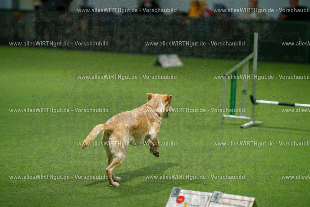 7R504573 | Professionelle Tierfotografie in Mönchengladbach von Daniel Wirth (allesWIRTHgut). Liebevolle & natürliche Bilder von Hunden & Katzen für unvergessliche Erinnerungen.