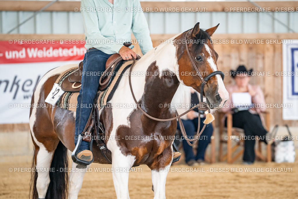 DSC04389 | Pferdegrafie