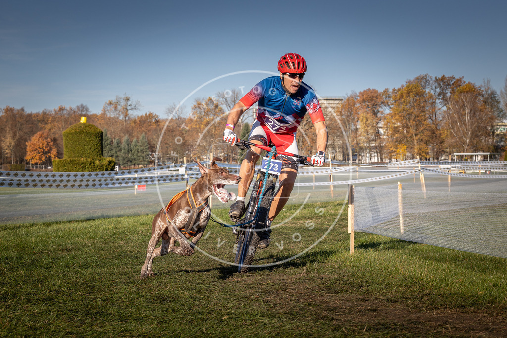 CaniXpix_0L8A5159 | Hundefotografie, Tierfotograf, Pfotenfotografie, Fotoshooting Hund, Hunde Portrait, Hundesport, Hundeportraits, Heideshooting, Hunde, Sportfotograf, Hundefotograf, Turnierhundsport, THS,  - Realisiert mit Pictrs.com