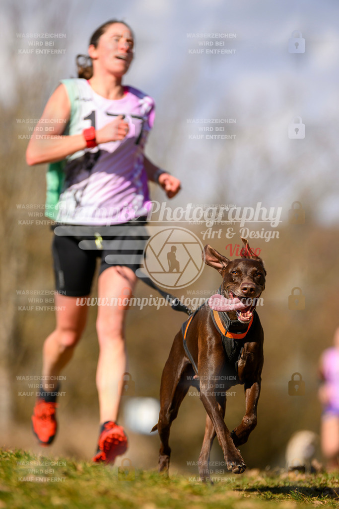 MompixPhotography_10Schwabentrail2026_SO_Canicross-75 | PayLife
