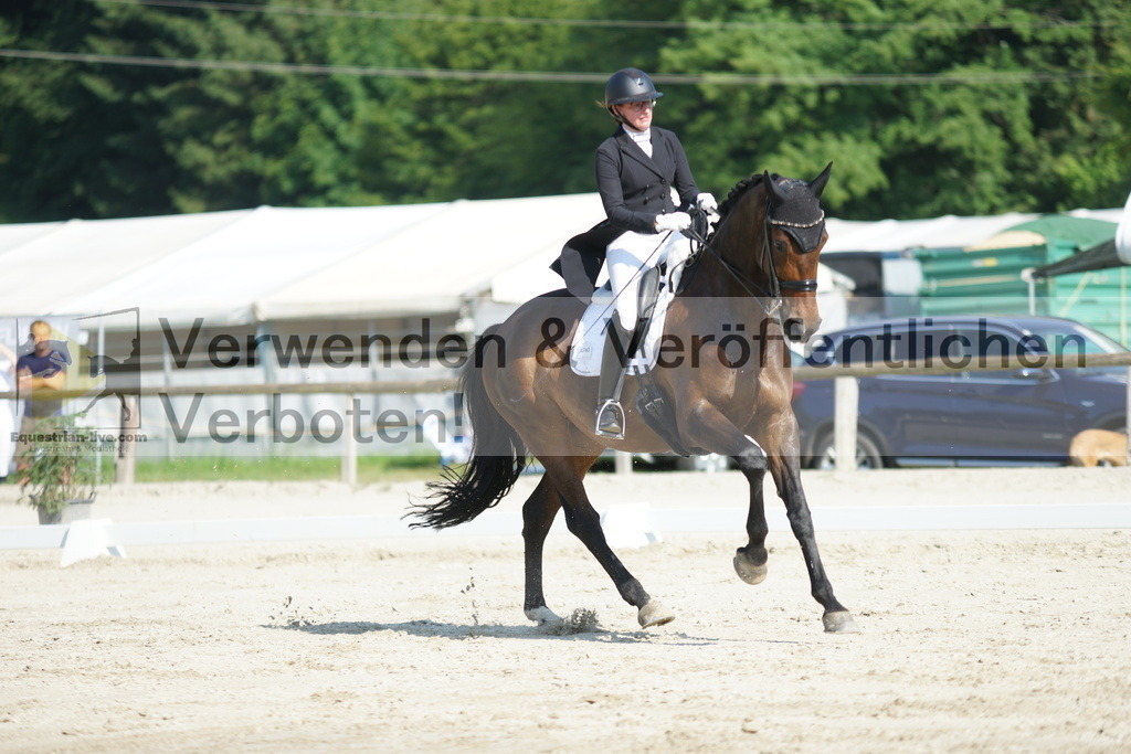 DSC02446 | equestrian-live-com