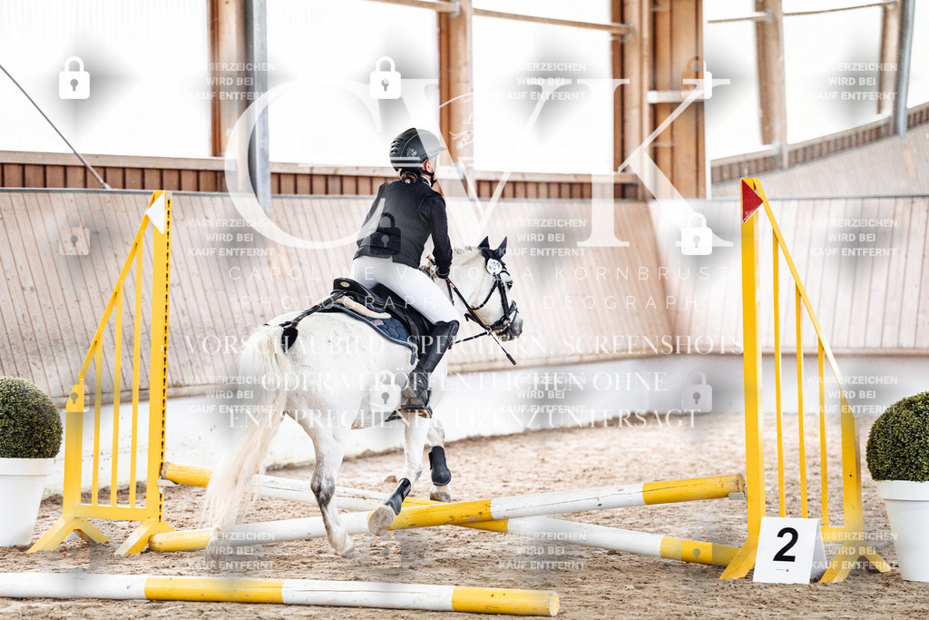 CK902557 | Turnierfotografie Pferdefotografie Trier Rheinland-Pfalz Pferdesport Reitsport Tierfotografie Sportfotografie Pferdevideo Pferdevideografie Equestrianvideography equestrianphotography  - Realisiert mit Pictrs.com