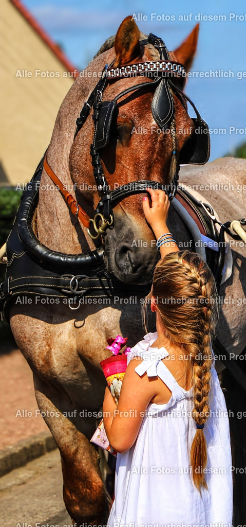 IMG_9170a_2-01_5 | krollfotografie - Realisiert mit Pictrs.com