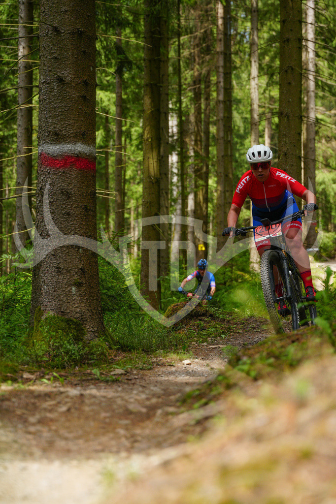 FC603799 | Fotogalerie der Treibjagd im Dunkelwald - Dein MTB Etappenrennen im Erzgebirge - Realisiert mit Pictrs.com