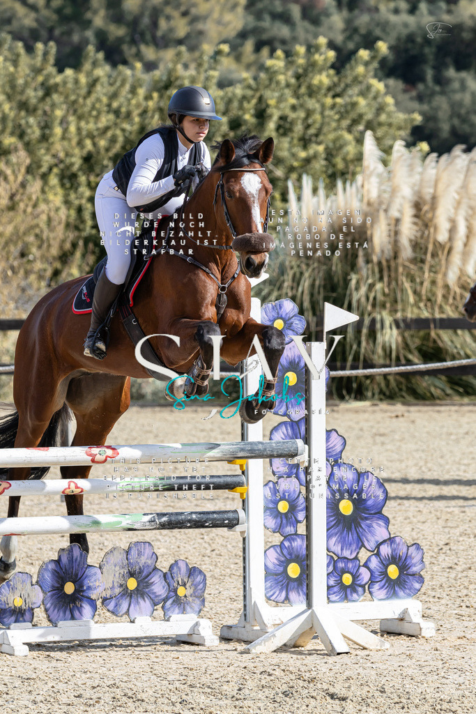 IMG_0481 | s-jay-photography - Realisiert mit Pictrs.com