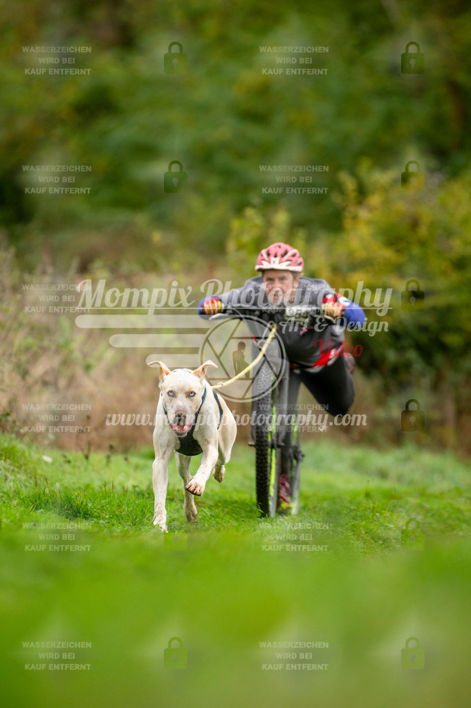 TSB_2023_E6_DS1-6 | PayLife