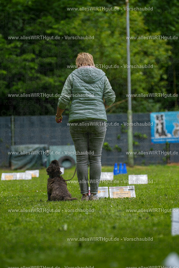 @allesWIRTHgut_Tierfotografie - www.allesWIRTHgut.de - 130140-7R509701 | Professionelle Tierfotografie in Mönchengladbach von Daniel Wirth (allesWIRTHgut). Liebevolle & natürliche Bilder von Hunden & Katzen für unvergessliche Erinnerungen.