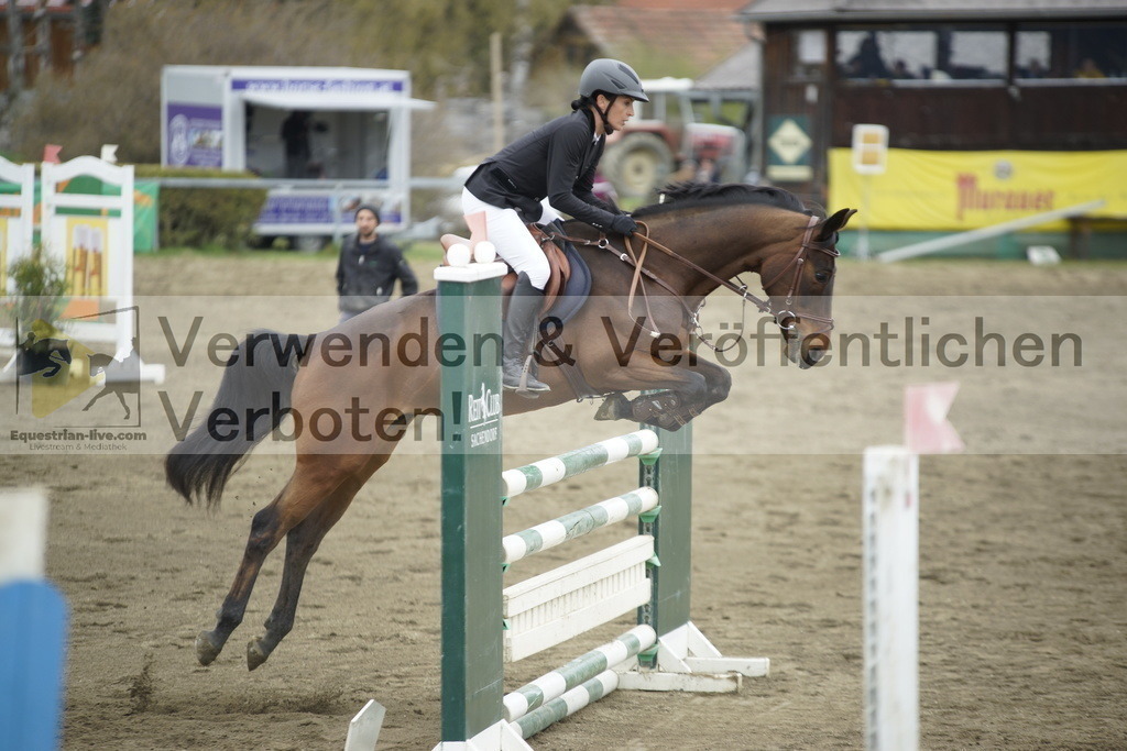 _DSC7275 | equestrian-live-com