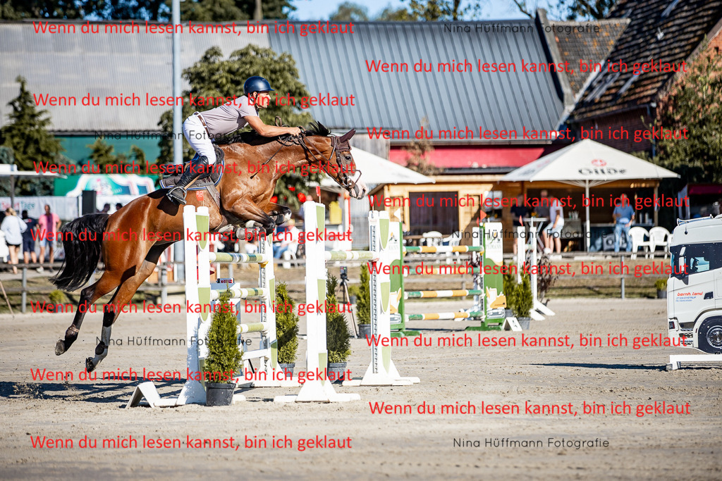 BK1A8133 | Turnierbilder Turnierfotos Nina Hüffmann Turnierfotografie Pferdefotografie Tierzeichnung Haustierzeichnung Pferdezeichnung Hundezeichnung Videograf  - Realisiert mit Pictrs.com