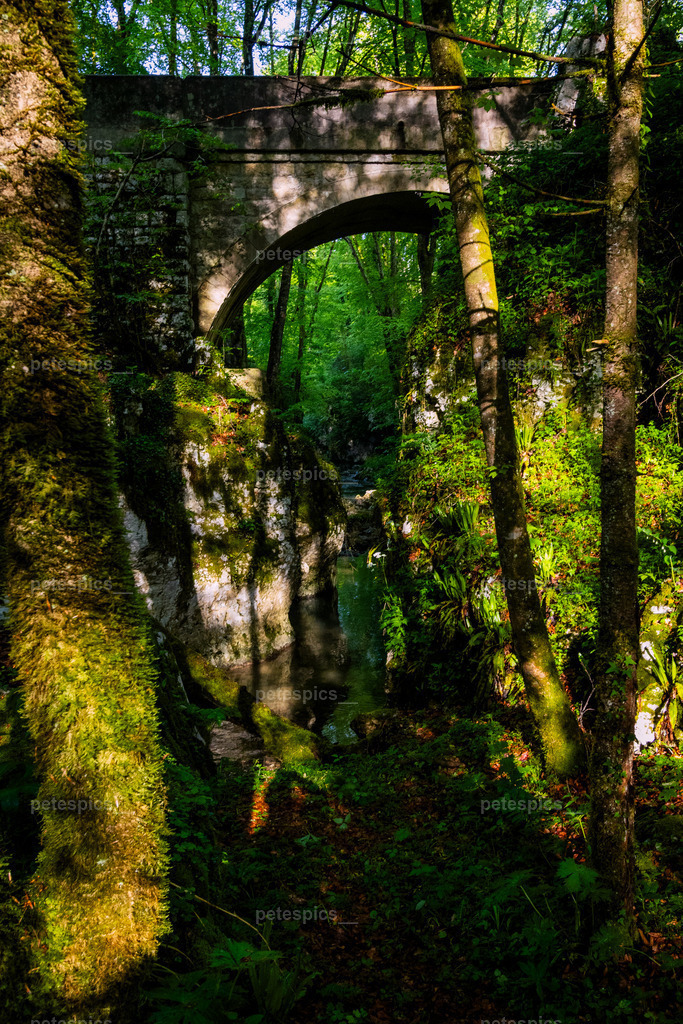 _76A1542 | petespics