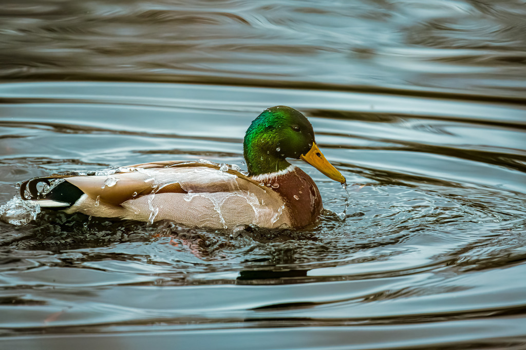 2F73920B-CAEC-4099-AAAD-FC7A2ACEA501 | <meta name="keywords" content="Bergbilder, Hochzeitsfotografie, Actionshootings, Fotografiearbeiten, Berglandschaften, Naturfotografie">

 - Realisiert mit Pictrs.com