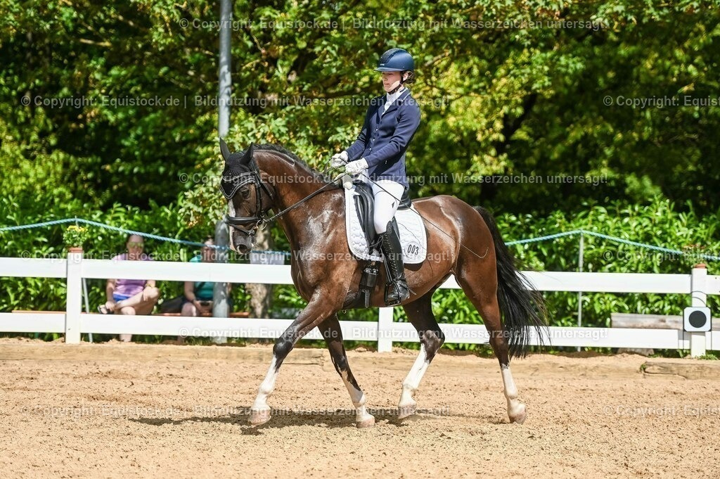 20230715_02_Dressurreiterprüfung Kl.L_0256 | equistock