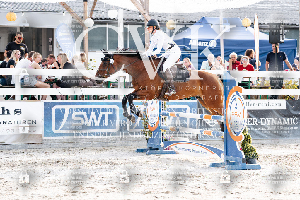 CK906651 | Turnierfotografie Pferdefotografie Trier Rheinland-Pfalz Pferdesport Reitsport Tierfotografie Sportfotografie Pferdevideo Pferdevideografie Equestrianvideography equestrianphotography  - Realisiert mit Pictrs.com