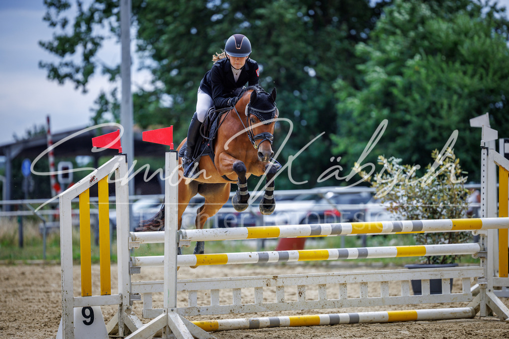 20260705-_3LI5499 | Tierfotografie Pferde, Hunde, Katzen, Haustiere.
Turnierfotografie Reitturniere, Reiten, Springreiten, Dressur in Hanau, dem Main-Kinzig-Kreis und dem Rhein-Main- Gebiet um Frankfurt