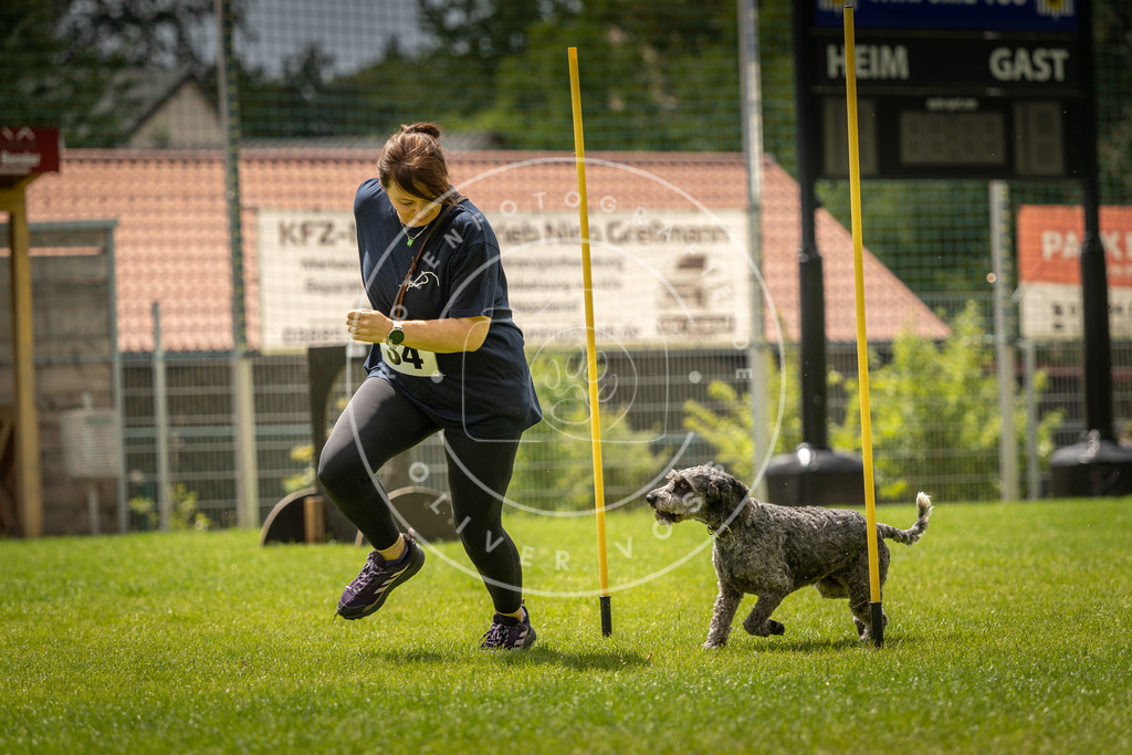 Pfotenfotografie_DV3A2529 | Hundefotografie, Tierfotograf, Pfotenfotografie, Fotoshooting Hund, Hunde Portrait, Hundesport, Hundeportraits, Heideshooting, Hunde, Sportfotograf, Hundefotograf, Turnierhundsport, THS,  - Realisiert mit Pictrs.com