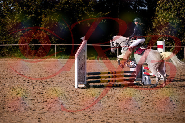 2026_10_03_Siefer-Hof_155107_Z81_69751041 | Professionelle Reitsport-, Turnier- und Eventfotografie von Robert Broda. Galerien mit ausgewählten und bearbeiteten Bildern direkt online ansehen und bestellen.