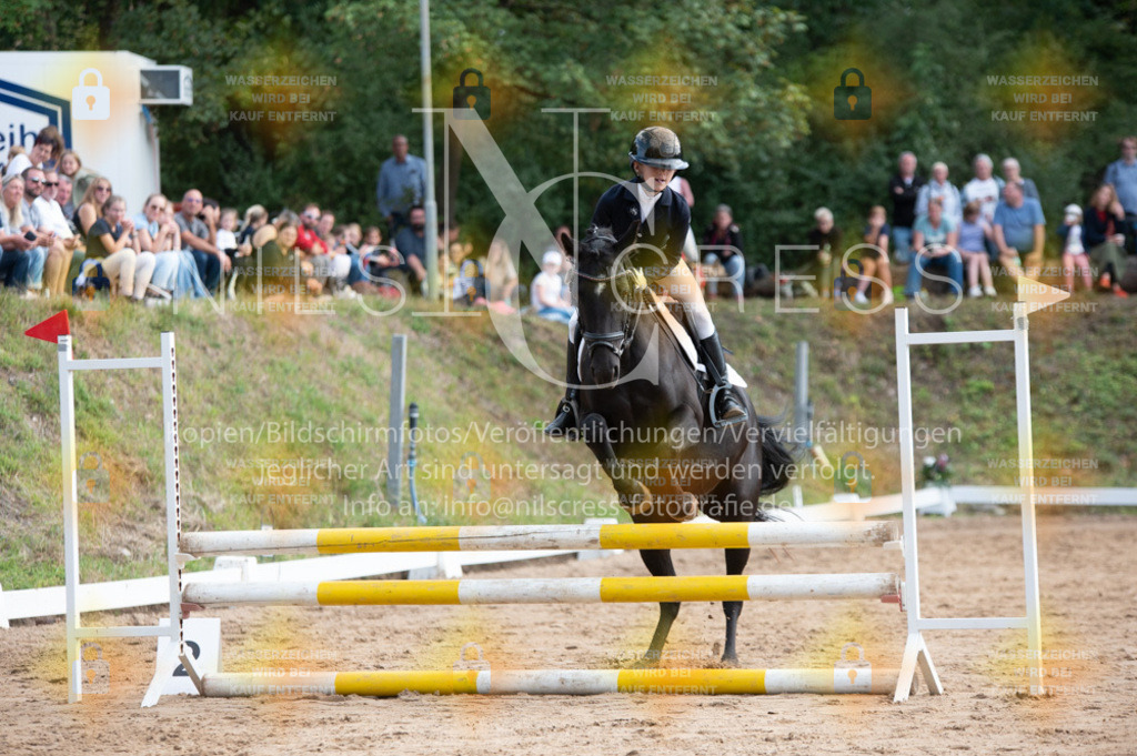DSC_2018 | Nils Cress - Fotografie - Realisiert mit Pictrs.com