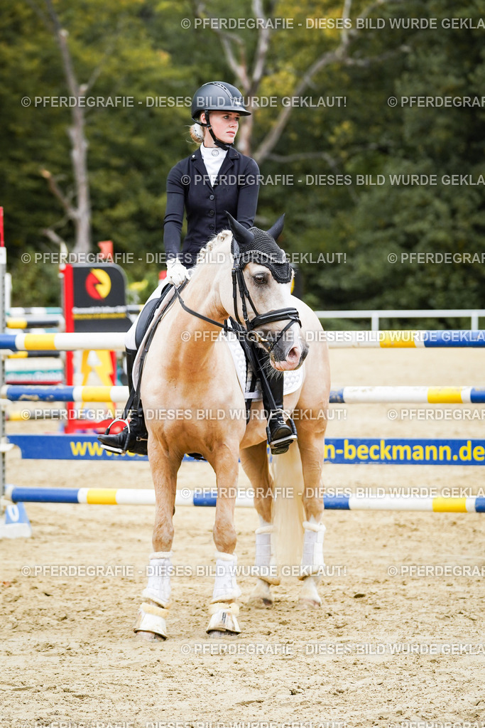 DSC02428 | Pferdegrafie