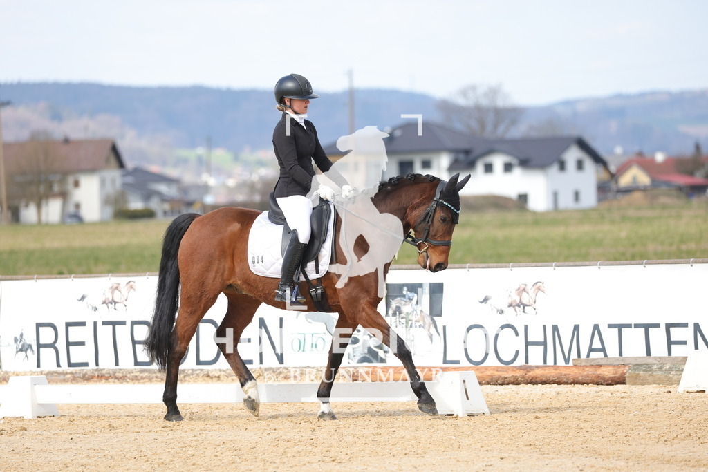 0P6A7459 | Willkommen bei Brunnmayr - Design & Fotografie – Ihrem Spezialisten für Reitturniere und Pferdeveranstaltungen in Oberösterreich, Salzburg und Bayern! Seit über 17 Jahren sind wir leidenschaftlich dabei.