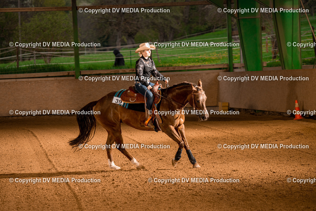 BAL01044 | dv-media-shop - Realisiert mit Pictrs.com