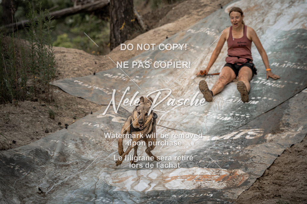 nelerasche_sa1530-1600_429 | nelerasche