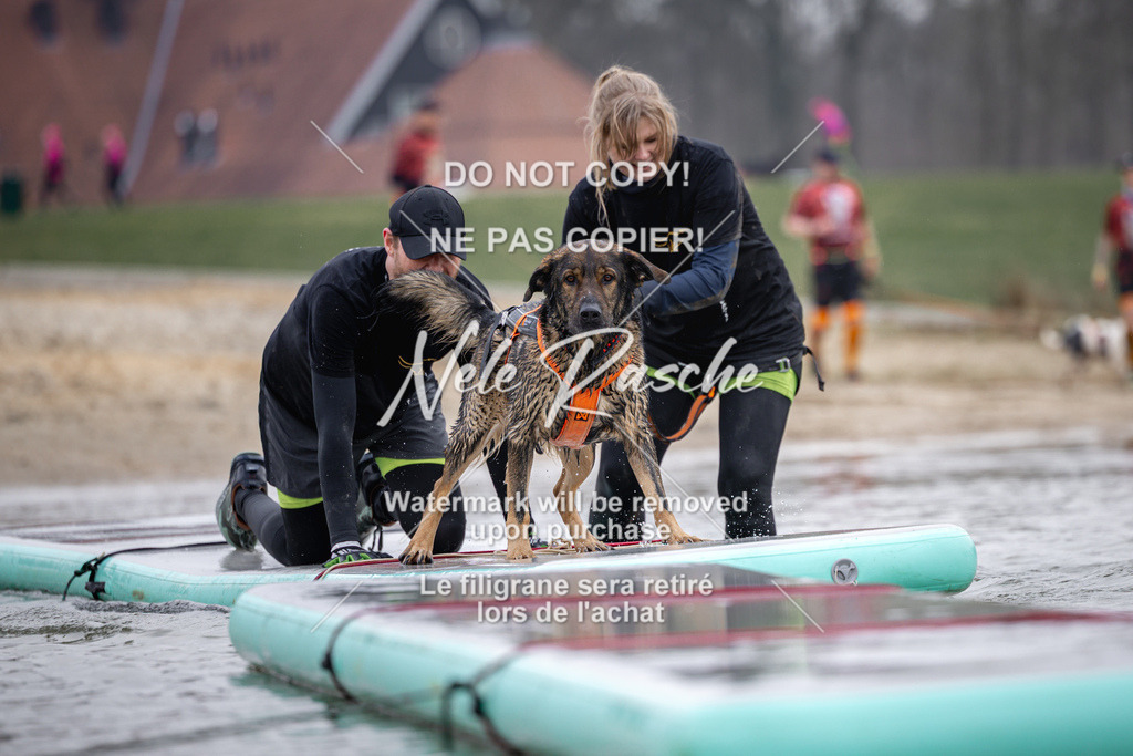 nelerasche_Hulsbeek_Sa1130-1230_453 | nelerasche