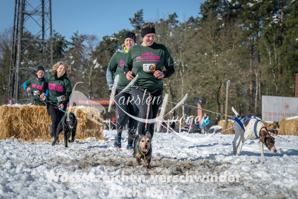 1123_ZZ91861-3 | kk-dogfotos