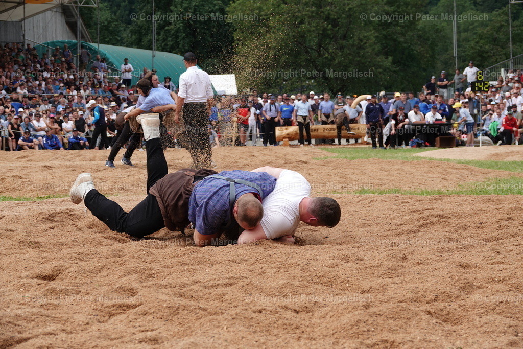 DSC01245 | Schwingen - Realisiert mit Pictrs.com