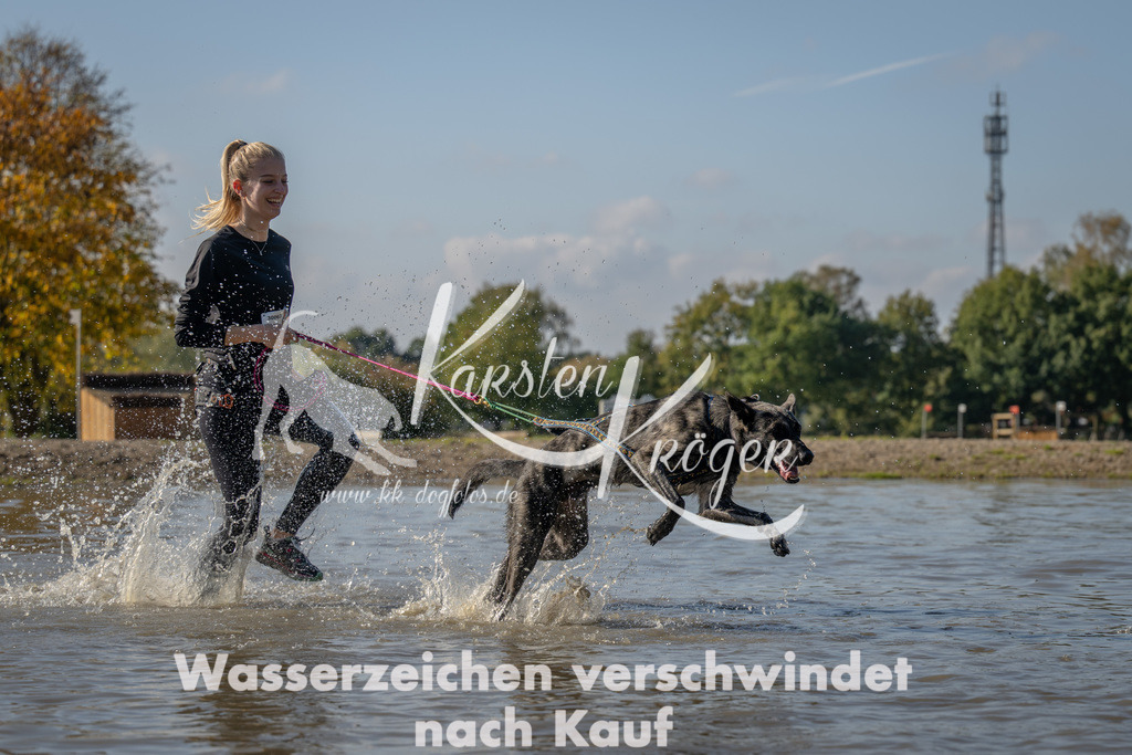 1416_ZZ91993 | kk-dogfotos