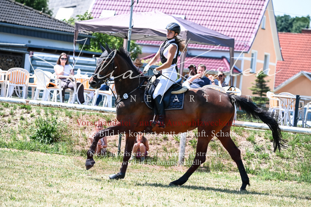 DSC_0221 | Pferde- und Turnierfotografie in Westsachsen. Pferdeportraits, Auftragszeichnungen und intuitive Kunst.