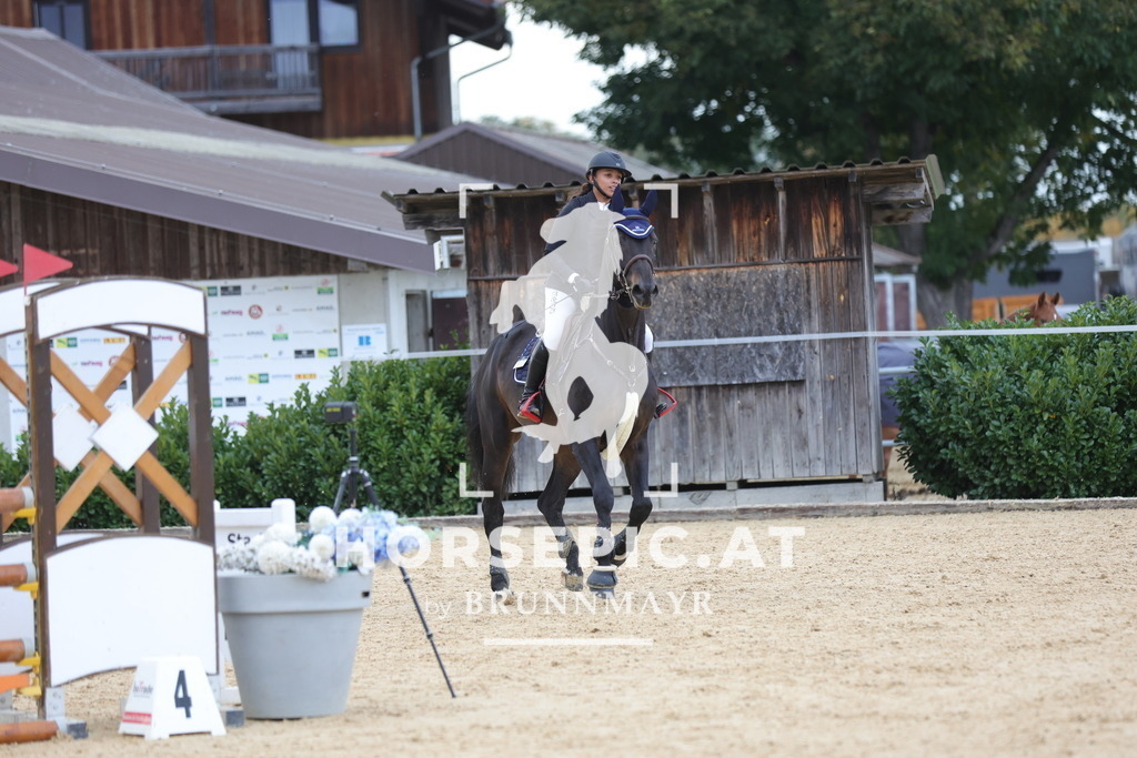 0P6A0138 | Willkommen bei Brunnmayr - Design & Fotografie – Ihrem Spezialisten für Reitturniere und Pferdeveranstaltungen in Oberösterreich, Salzburg und Bayern! Seit über 17 Jahren sind wir leidenschaftlich dabei.