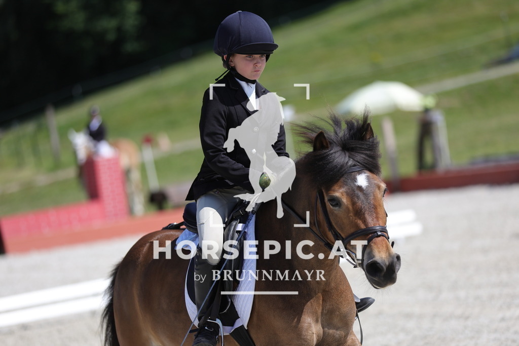 0P6A0221 | Willkommen bei Brunnmayr - Design & Fotografie – Ihrem Spezialisten für Reitturniere und Pferdeveranstaltungen in Oberösterreich, Salzburg und Bayern! Seit über 17 Jahren sind wir leidenschaftlich dabei.