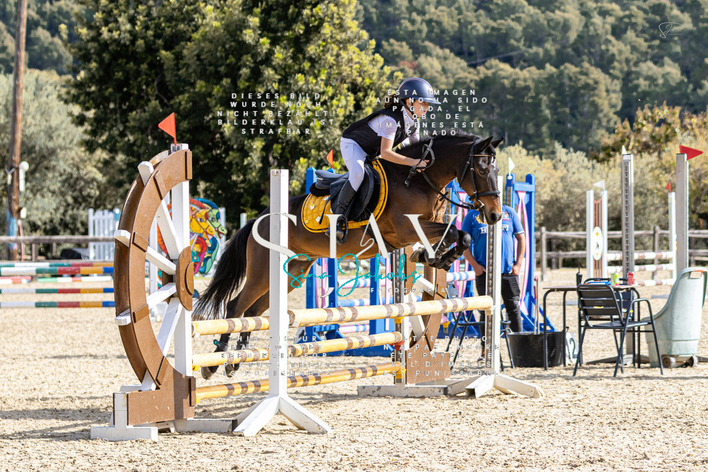 IMG_5855 | s-jay-photography - Realisiert mit Pictrs.com