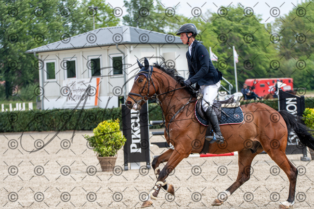 KPT_3355 | andre_photographic