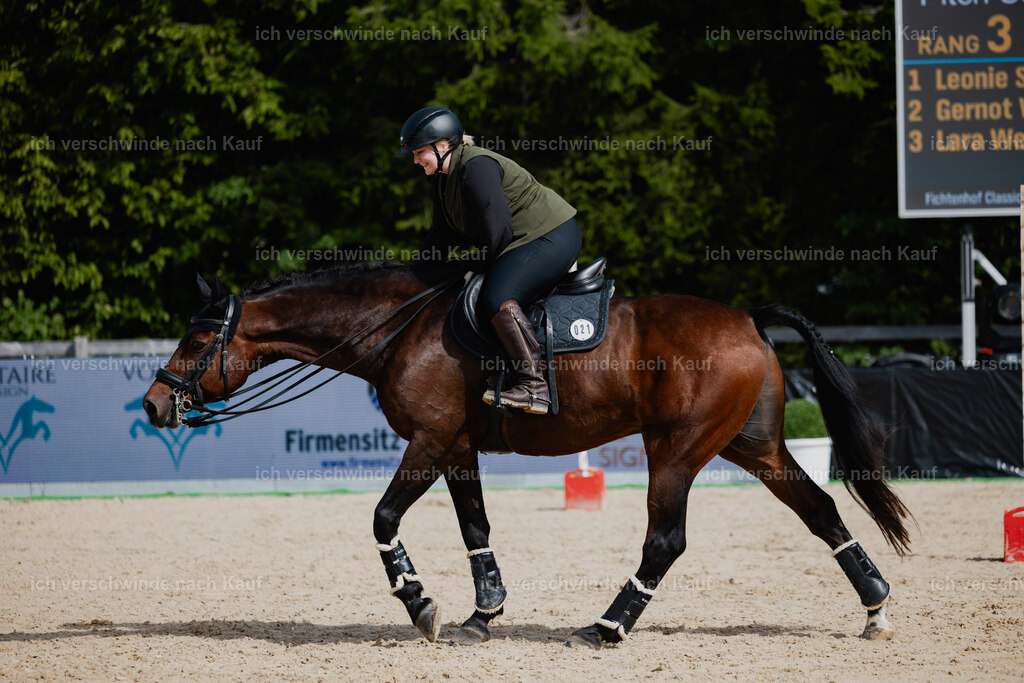 Lara_21_FHC2025-52 | working equitationturnier fotograf videograf stoibphotography marixx film working equitation deutschland reitsport turnierfotografie eventfotografie equestrian events