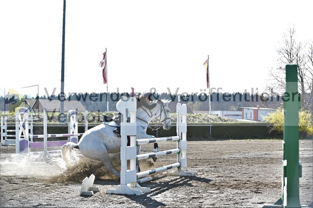 DSC_5717 | equestrian-live-com