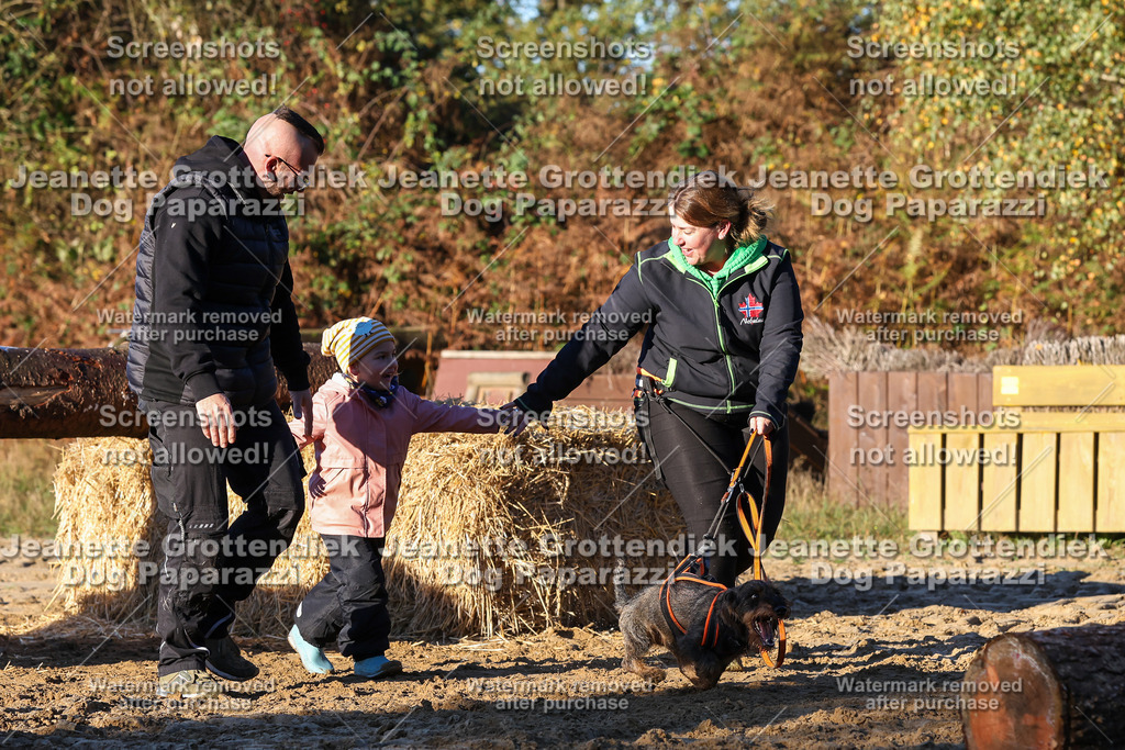 Dog Paparazzi - Strongdog 10-25-1019 | Dog Paparazzi Jeanette Grottendiek Fotografie & Videografie - Realisiert mit Pictrs.com