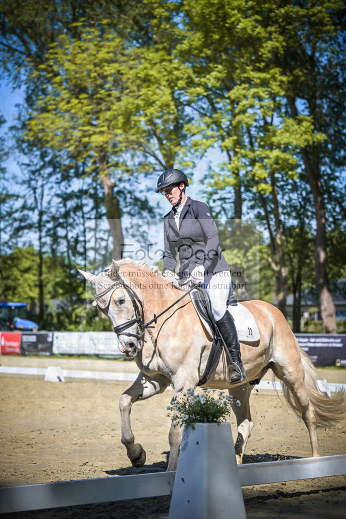 DOS_6313 | Entdecke hochwertige Reitturnierfotos von Foto Oger. Professionell, emotional und authentisch – jetzt Lieblingsmomente im Shop bestellen.Deutschlandweite Turnierfotografie. - Realisiert mit Pictrs.com