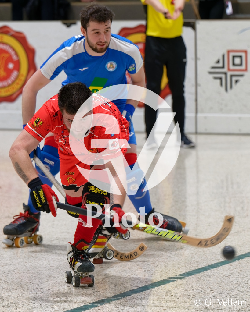 DSC_5847 | Velletri Photo