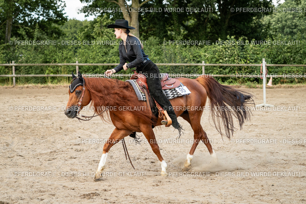 DSC05979 | Pferdegrafie