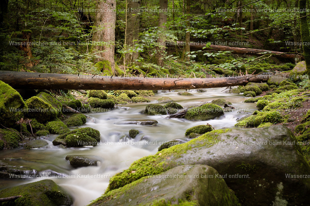 Ich erschaffe mein Leben | Die Botschaft zum Bild lautet: Wege tun sich auf, es fängt an zu fließen, es kommt in den Fluss, was sein muss. Und gib dich diesen Gezeiten hin, diesen Stromschnellen. Das Leben weiß viel besser, wie es dich unterstützen kann. Und wisse, manifestiere aus dem Herzen und es tun sich Wege auf.