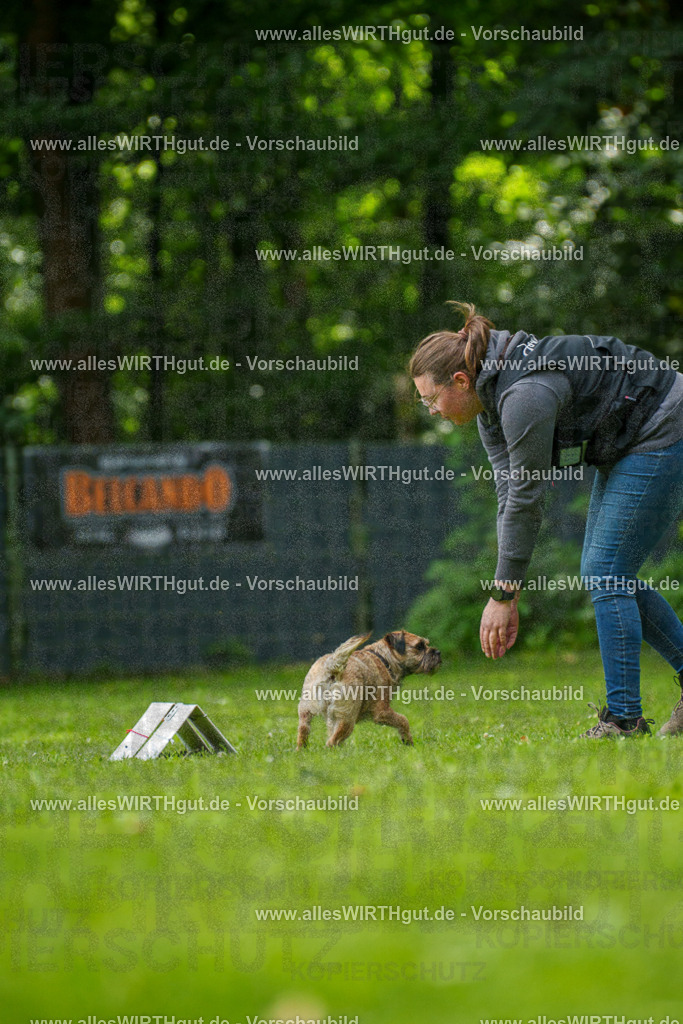 @allesWIRTHgut_Tierfotografie - www.allesWIRTHgut.de - 7R501924 | Professionelle Tierfotografie in Mönchengladbach von Daniel Wirth (allesWIRTHgut). Liebevolle & natürliche Bilder von Hunden & Katzen für unvergessliche Erinnerungen.
