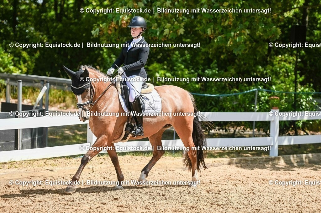 20230715_09_Dressur-WB_0319 | equistock