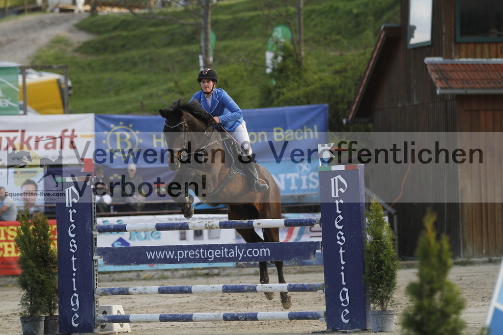 _MG_8353 | equestrian-live-com