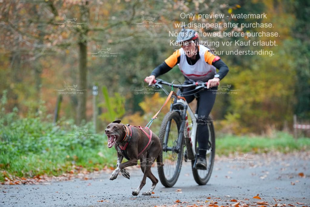 Bike_So-13 | stephaniefillaphotographie - Realisiert mit Pictrs.com